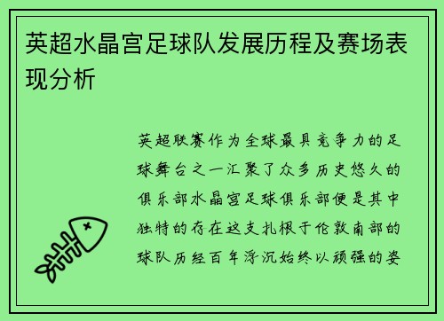 英超水晶宫足球队发展历程及赛场表现分析