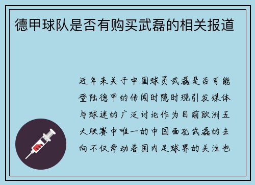 德甲球队是否有购买武磊的相关报道